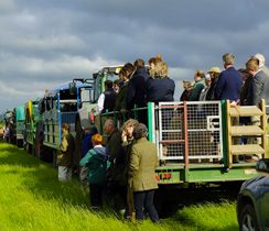 Farm Walk